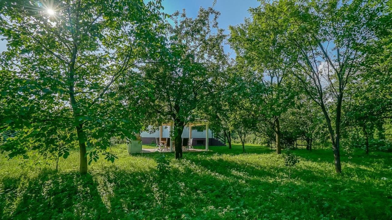 Luna Ferienhaus *